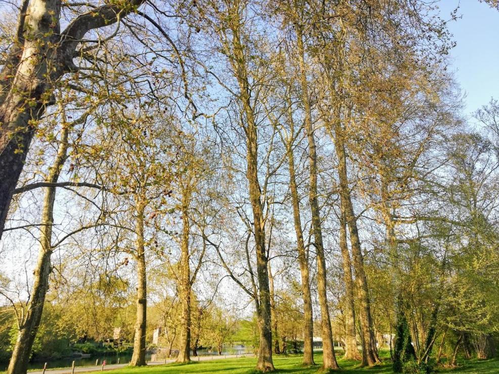 Le Domaine Des Platanes Bourg-Charente Exterior foto