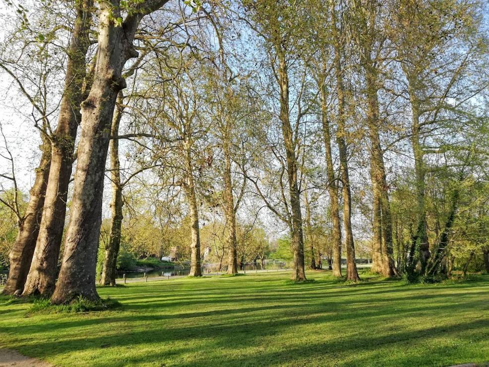 Le Domaine Des Platanes Bourg-Charente Exterior foto