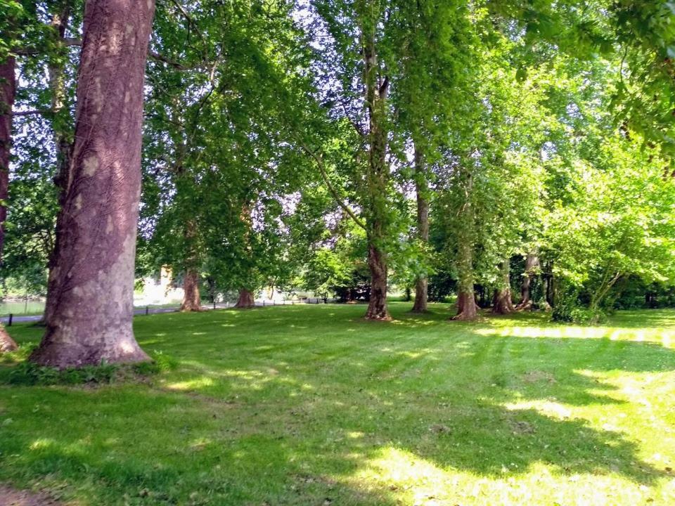 Le Domaine Des Platanes Bourg-Charente Exterior foto