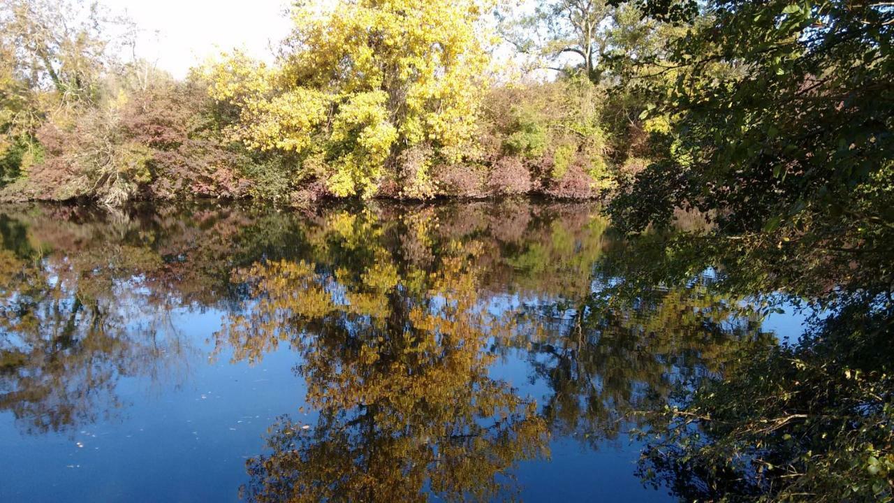 Le Domaine Des Platanes Bourg-Charente Exterior foto
